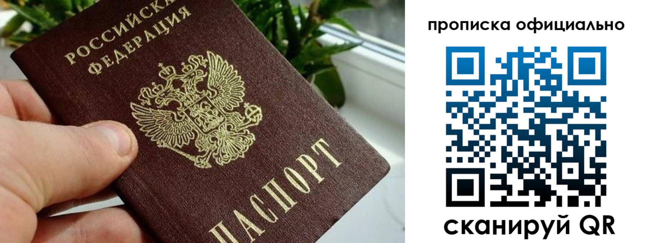 прописка поиск в Коркино